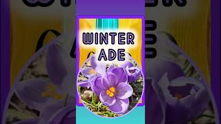 Winter ade! 🌷mit Cello solo + TEXT #cellomusic