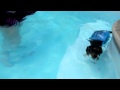 Mini Weiner Dog Swimming Mp4