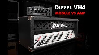 Video thumbnail for Synergy VH4 vs Diezel VH4 - Can the Synergy module go toe to toe with the legend? by The other John Browne