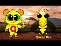 The African Animal Alphabet With Letter Critters