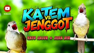 Download lagu MASTERAN JERNIH KAPAS TEMBAK VS CUCAK JENGGOT   JEDA TERAPI AIR 100% CEPAT MASUK!! mp3