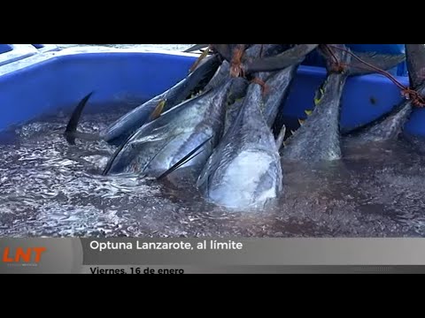 Optuna Lanzarote, al límite: opera sin concesión y con un sobrecoste que amenaza su supervivencia
