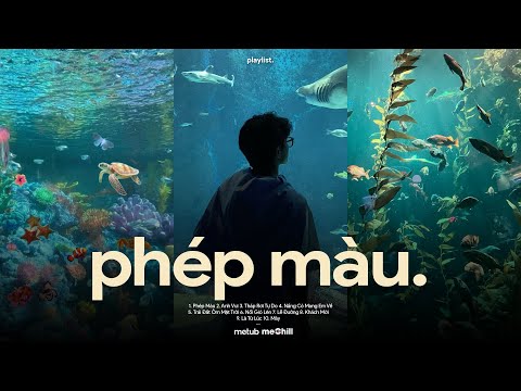 Phép Màu, Lễ Đường - Chẳng Phải Phép Màu Vậy Sao♬ BXH Nhạc Lofi Chill Xu Hướng CaoTri Mix Triệu View