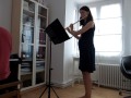 Paul Harris Clowns Mov 3 Pulcinella