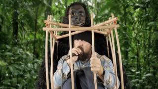 Thrill My Gorilla - Alice Cooper (Cover by Albert Fishing Trip)