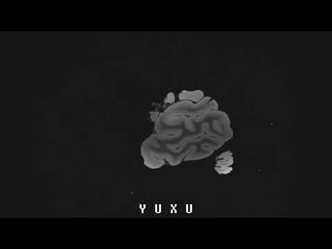 A$ ft. Molly Mol - Yuxu
