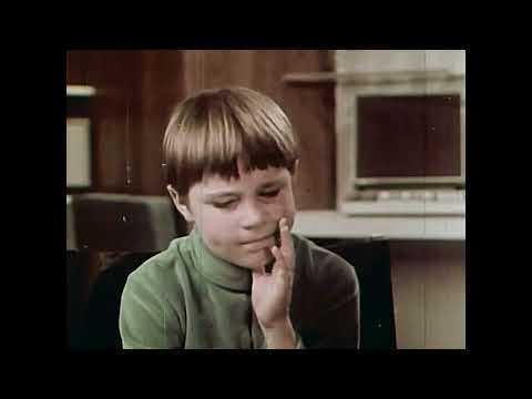 Chuck Norris Bear Fight Chuck Norris Bear Fight CNBF Systems Nailed To The Wall