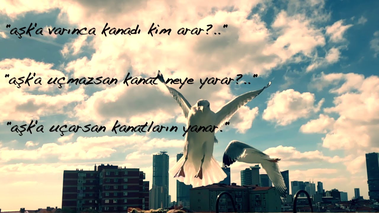 YouTube video kapağı