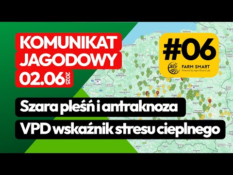 2025.06.02 - Uwaga na szarą pleśń i antraknozę. VPD wskaźnik stresu cieplnego