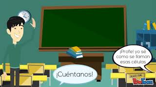 ¿Cómo ocurre la conducción neuronal y la tran