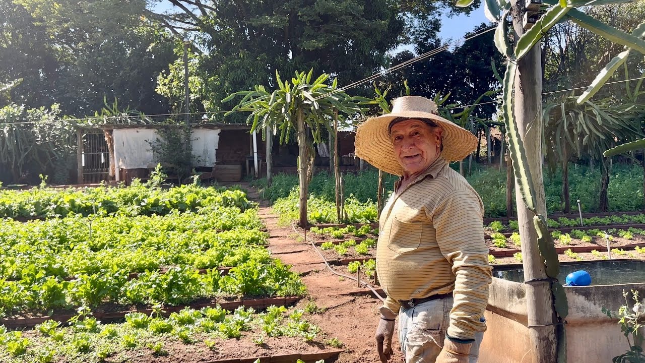 Zé bal Quase 80 anos e ainda Faz toda a lida da roça Com muita disposição e sabedoria…