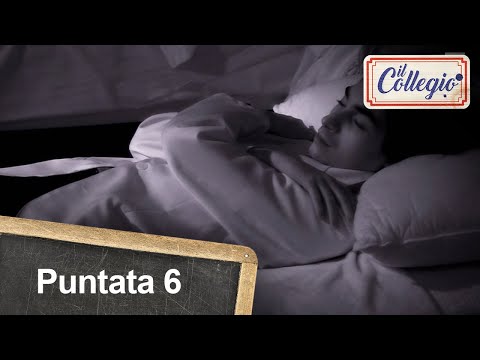 Il competitivo Alessandro A. - Sesta puntata - Il Collegio 5