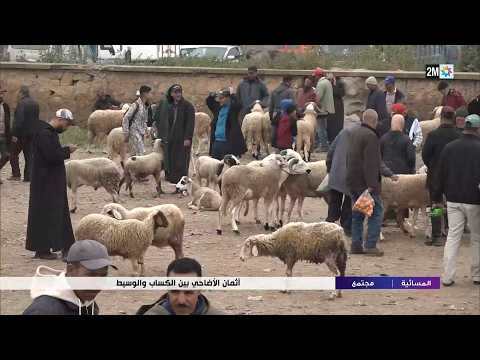 أثمان الأضاحي بين الكساب و الوسيط ..