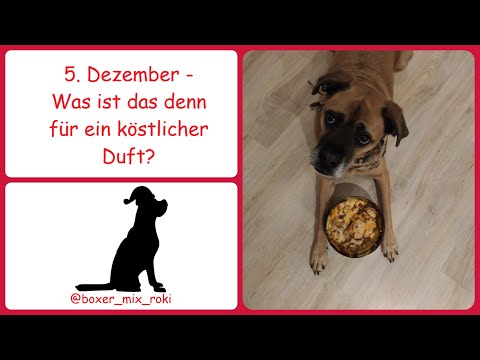 Rokis Adventskalender: 5. Dezember - Was ist das denn für ein köstlicher Duft?