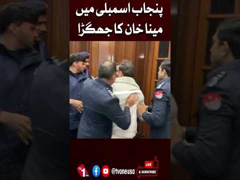 پنجاب اسمبلی میں مینا خان کا جھگڑا