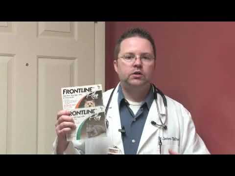 Can Frontline Plus for Dogs Be Used on Cats?
