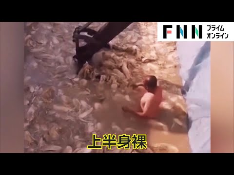 【特集】「裸キムチ」に衝撃...本場・韓国で相次ぐ産地偽装