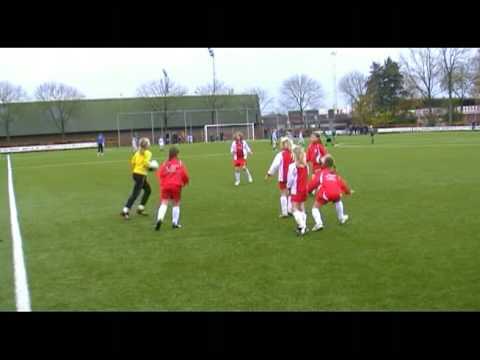 IJsselmeervogels MF2