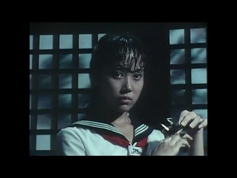 vvpskvd. - h a l l u c i n a t i o n