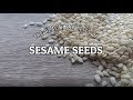 The Health Benefits Of Sesame Seeds Sincerely Nuts