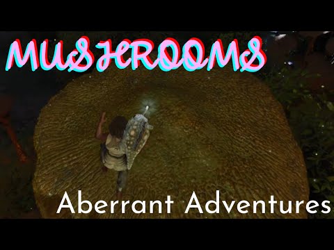 First Steps on Aberration