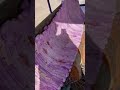 Tuk Tuk To Siwa Salt Pools Egypt Nov 25 2021 محسن الغندور
