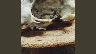 Download lagu Umpan Burung mp3