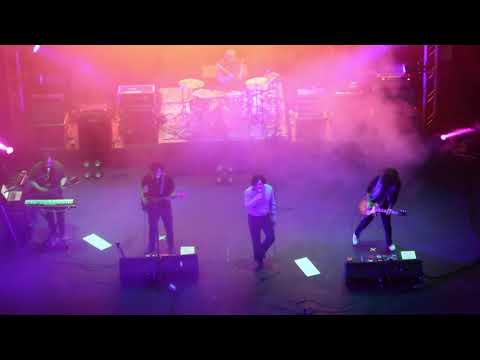 DAMA DEMENCIA - ENJAMBRE