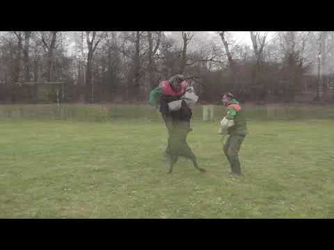 Willy z Klídkova dvora - obrana prosinec 2020 - sestřih