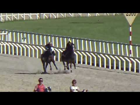 TONYBILLY/FAST-UNO-REVISTA INVASOR