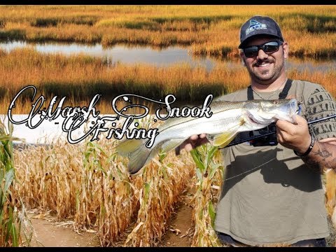 Fishing Tidal Marsh for Snook on YouTube