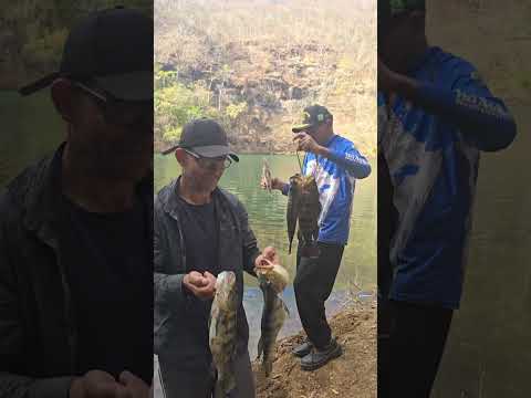 LAGO DE BURITINOPOLIS GOIÁS  PESCARIA DE TUCUNARÉ #lago #pescaria