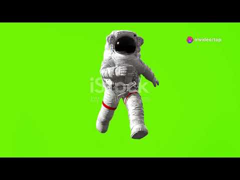 Butch Wilmore and Suni Williams return to Earth after nine unplanned months in space