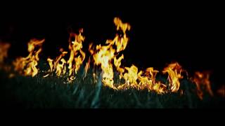 Bad Sign - Closure - Official Video