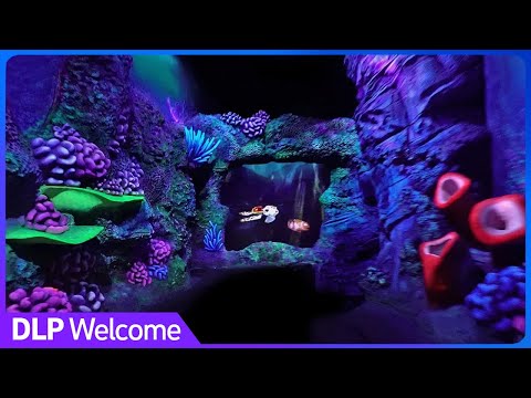 [4K - Extreme Low Light] Crush's Coaster - On Ride - Disneyland Paris