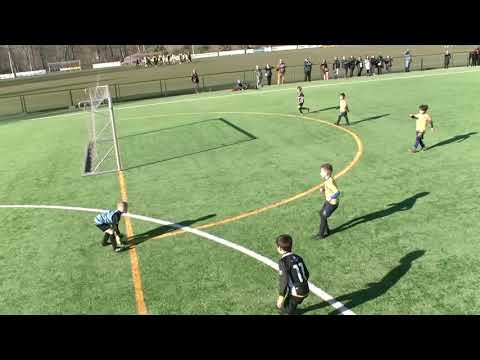 Nationale Elite U8 - Sporting Lokeren - KV Woluwe Zaventem