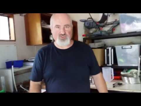 download lagu mp3 mp4 Plum Cider, download lagu Plum Cider gratis, unduh video klip Plum Cider