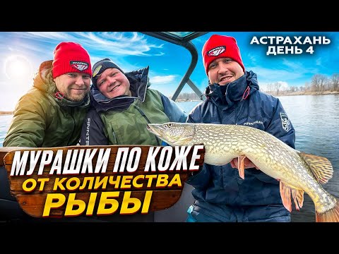 МУРАШКИ ПО КОЖЕ ОТ КОЛИЧЕСТВА РЫБЫ. Астрахань 2025. День 4