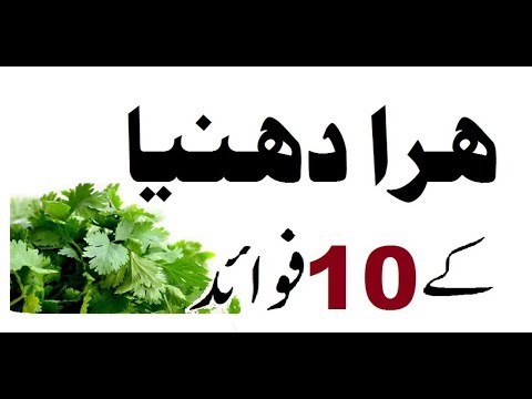 fogyókúrás módszer urdu nyelven)