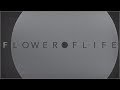 THE NOVEMBERS "Flower of life" MV   