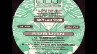 Skylab 2000 - Auburn