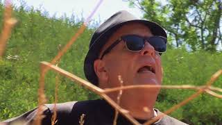 If You Could Read My Mind