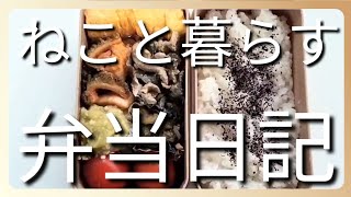 ねこと暮らす前日作り置き弁当日記です