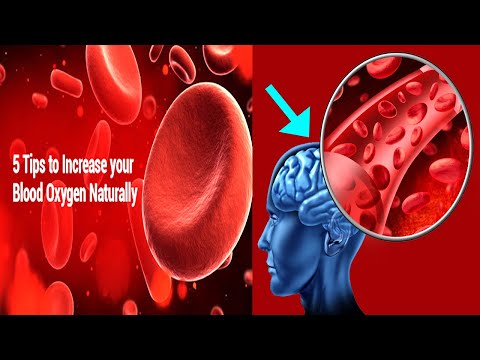HOW TO NATURALLY RAISE OXYGEN BLOOD LEVELS FOR THE BRAIN, HEART, BODY | Poor Blood Circulation