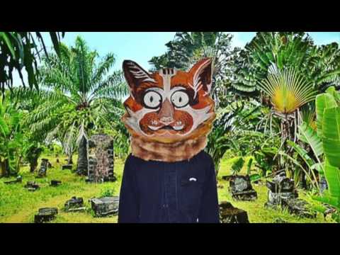 Timothy J. Fairplay - The Cat Prowls Again