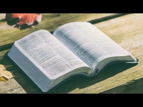 Isaia 32:15 || Riflessione biblica