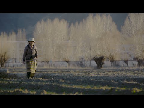 Reborn on the Plateau - I Was a Serf