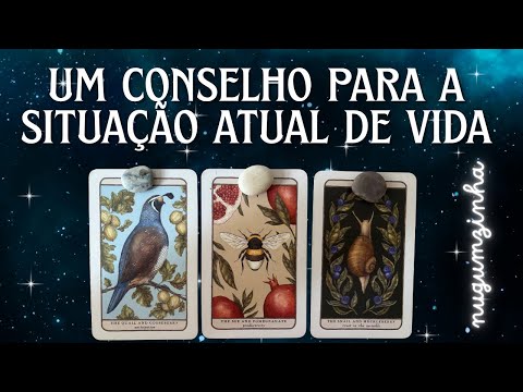 ADVICE FOR THE CURRENT MOMENT OF LIFE!