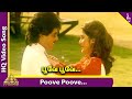Poove Poove Video Song Guru Bramma Tamil Movie Songs Ali Prakash Raj Pyramid Music