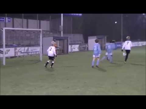 Samenvatting Hermes DVS E1 - ASWH E1